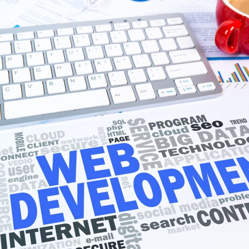 Professional Website Development Agency