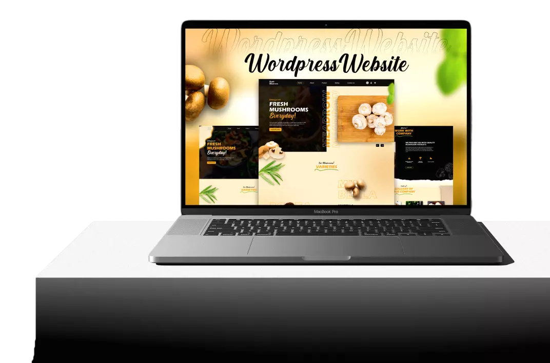 Web Development Services in USA - Web Development Company in USA